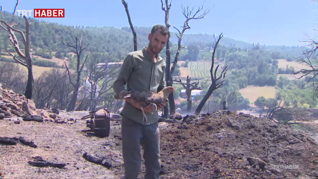 Yangında hem evi hem de 15 kurbanlığının parası kül oldu